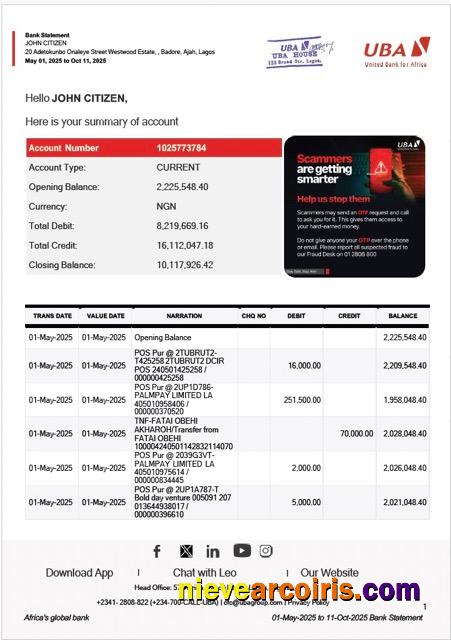 Nigeria United Bank for Africa bank statement Word and PDF